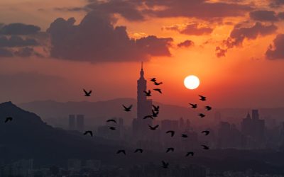Taipei Hotels: Luxe to Budget Stays