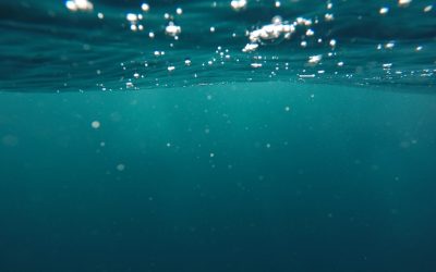 Daily 2L Water Challenge: 30-Day Review