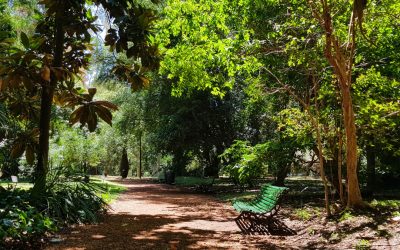 Unlock Buenos Aires: Your Ultimate Hotel Guide (Luxe to Budget)
