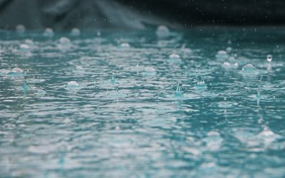 Hydration & Weight Loss: Our Water Challenge