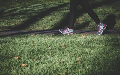 Sedentary Health: Metabolism Facts