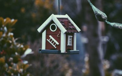 Unlock Free Home Decor: Smart Styling Tips