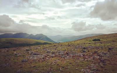 Green Tech Innovations: Sustainable Living for a Brighter Future
