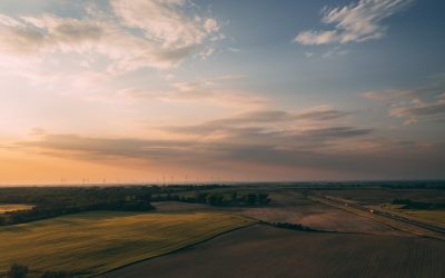 Sustainable Living: Your Path to a Greener Future