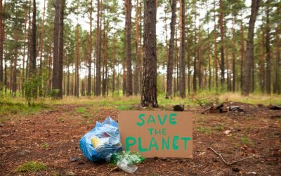 Embrace Eco-Conscious Living: Trends Shaping a Greener Future