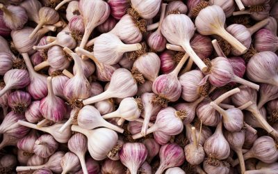 Regenerative Agriculture: The Future of Food